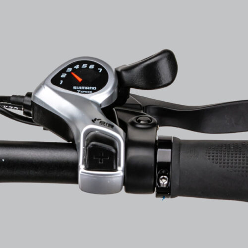 Bicicleta Electrică Gentle Electric RV10