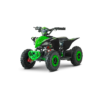 ATV RDB FV1000, 800W, 36V (12V, 12 Ah), 25 km/h