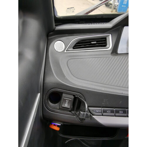 Masina electrica RDB Y4, 2000W, 45 km/h, 2023